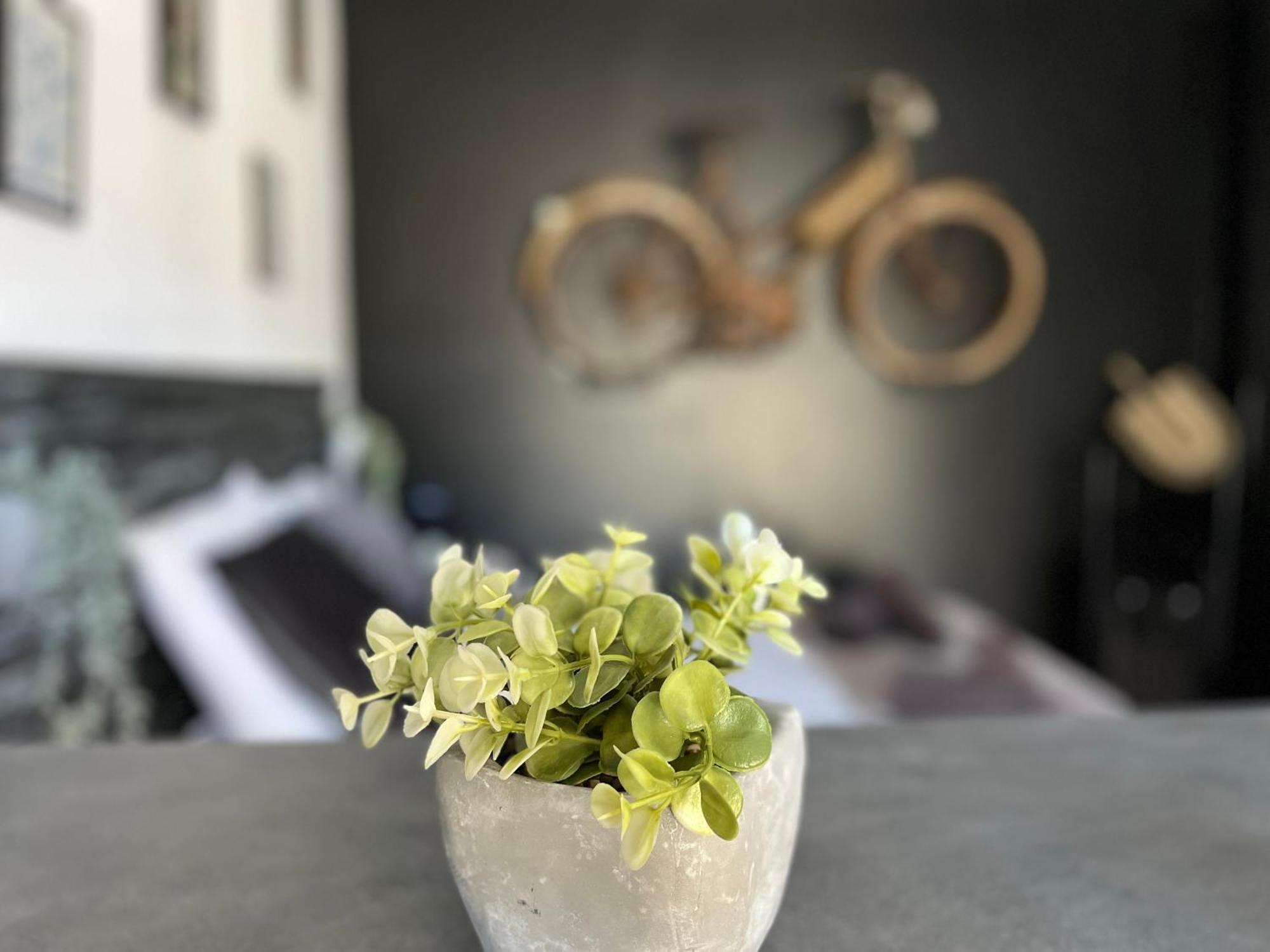 "Le Maloya" Chalets Independants -Chambre Balneo - Relais Motards Lacaune Buitenkant foto