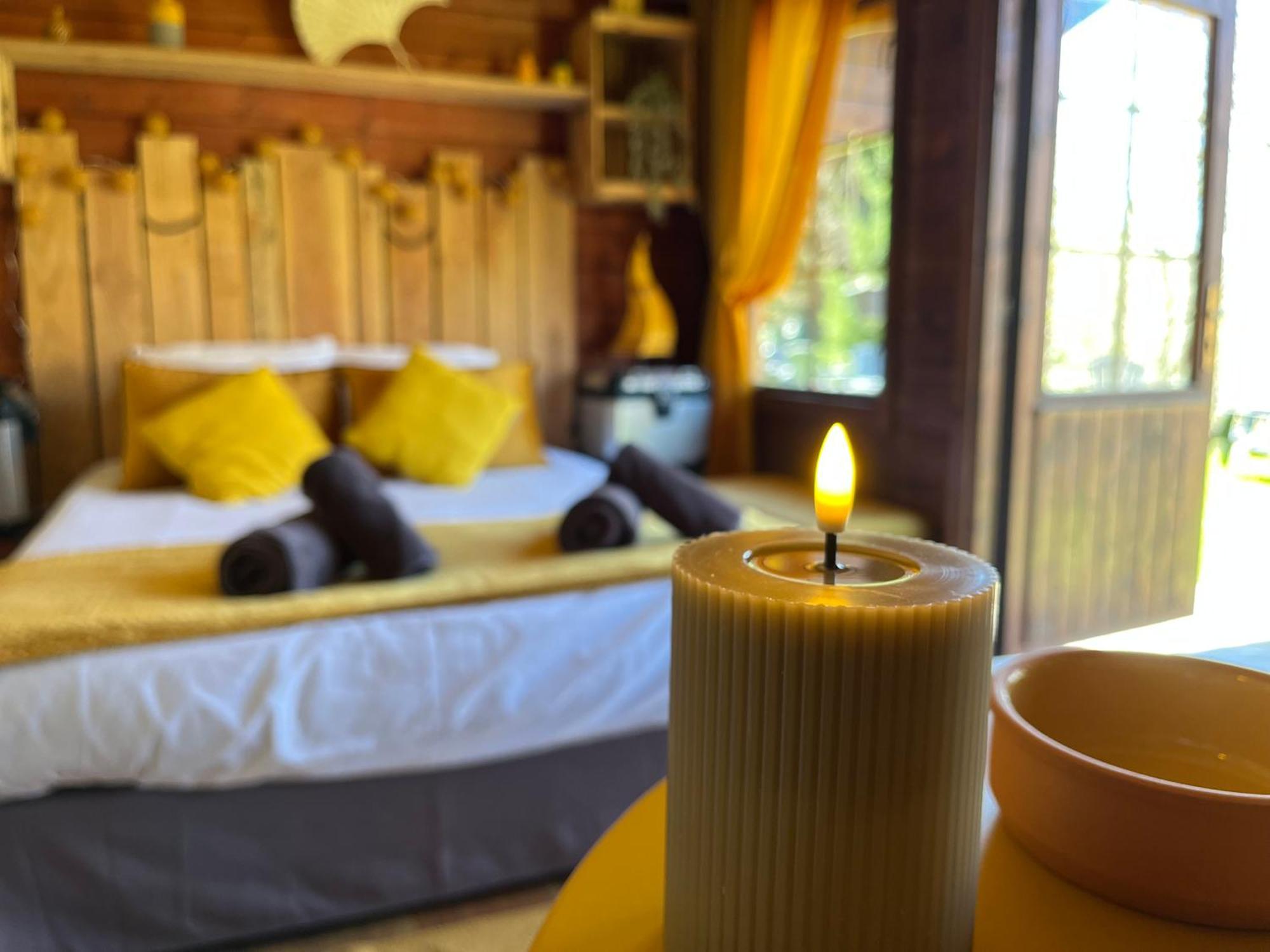 "Le Maloya" Chalets Independants -Chambre Balneo - Relais Motards Lacaune Buitenkant foto